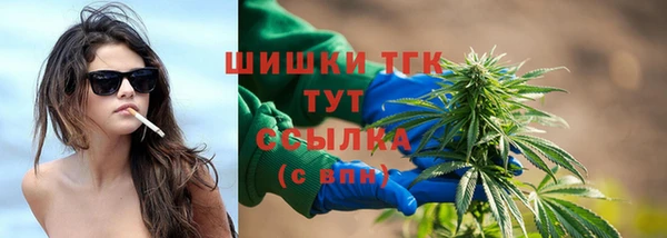 мдпв Кодинск