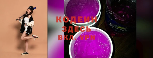 мдпв Кодинск