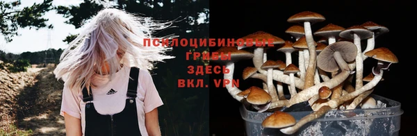 мдпв Кодинск